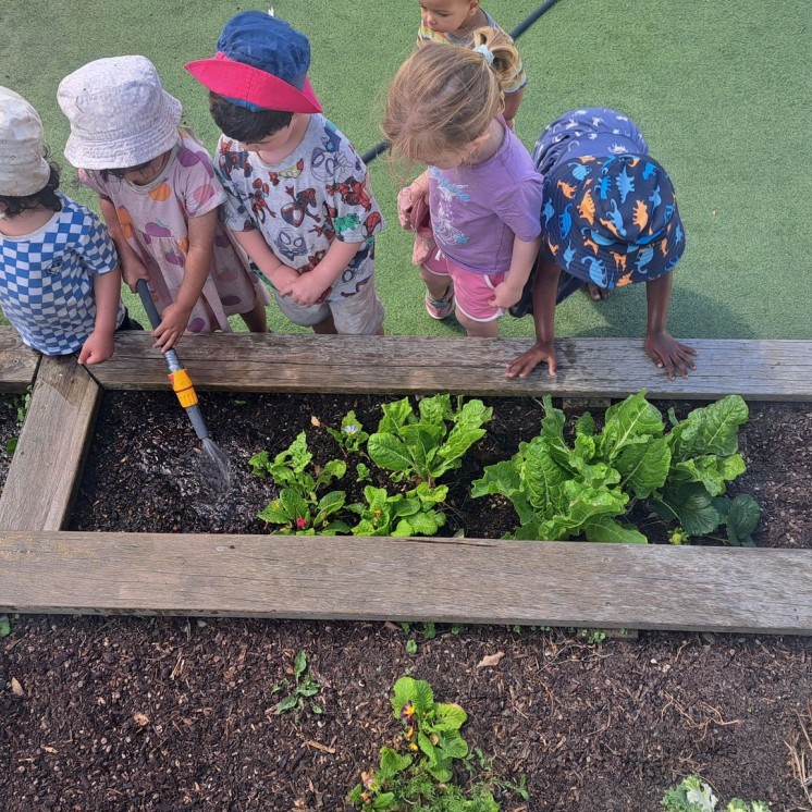 Busy Bees Brooklyn kid gardeners 