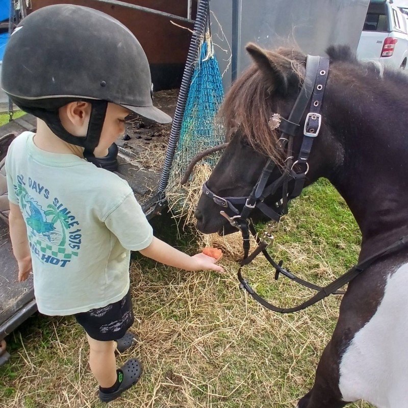 Busy Bees Cambridge Pony Ride 4