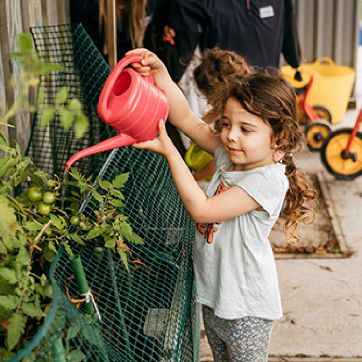 Watering plants at Busy Bees Judsons Road