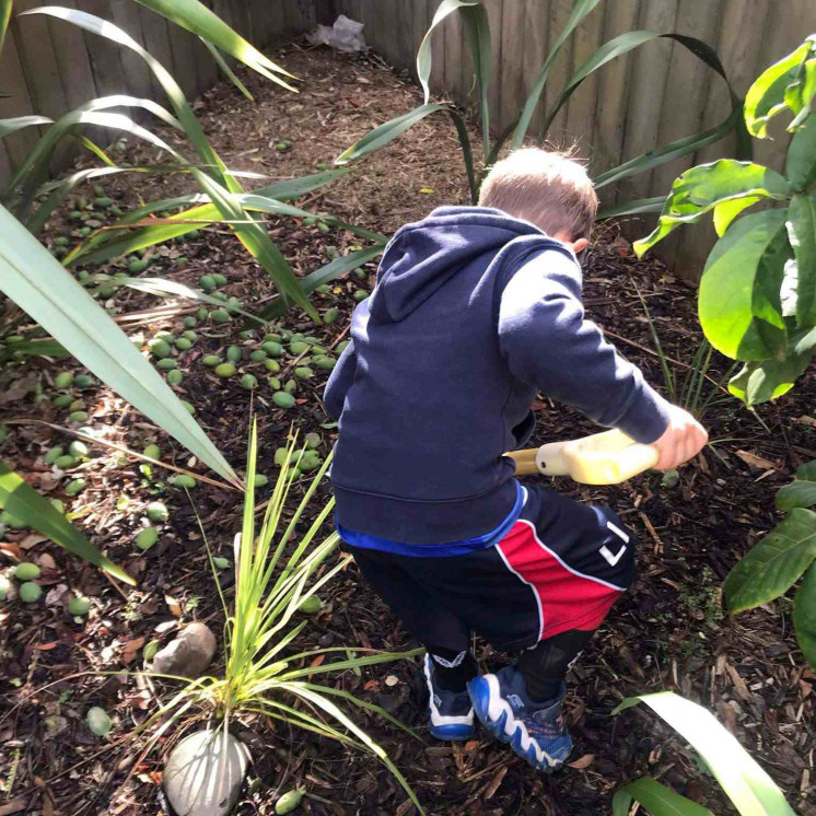 Sustainability, harvesting and composting at Busy Bees Mapua
