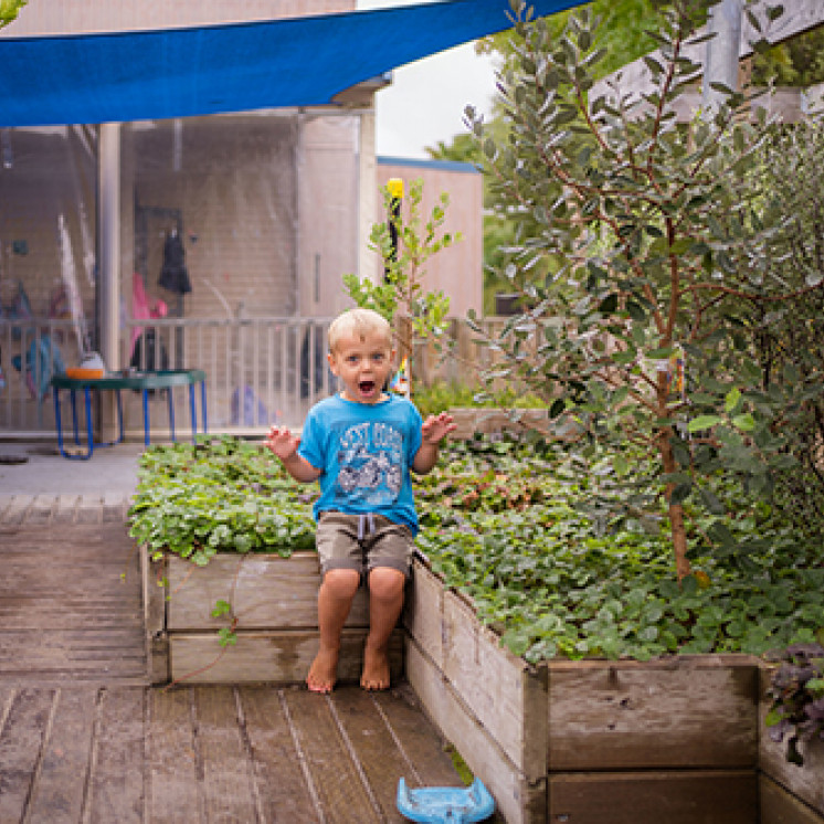 Natural Outdoors at Busy Bees McGarvey Road