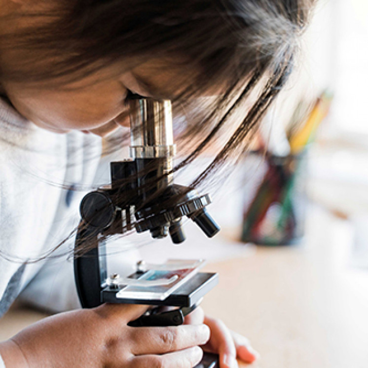 Education and Learning at Busy Bees Pioneer Highway