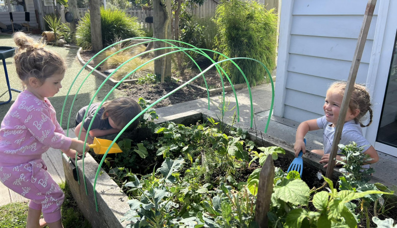 Toddlers exploring plants outdoors in Busy Bees Silverdale