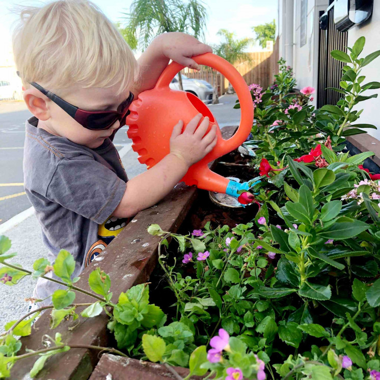 Gardening at Busy Bees Te Rapa