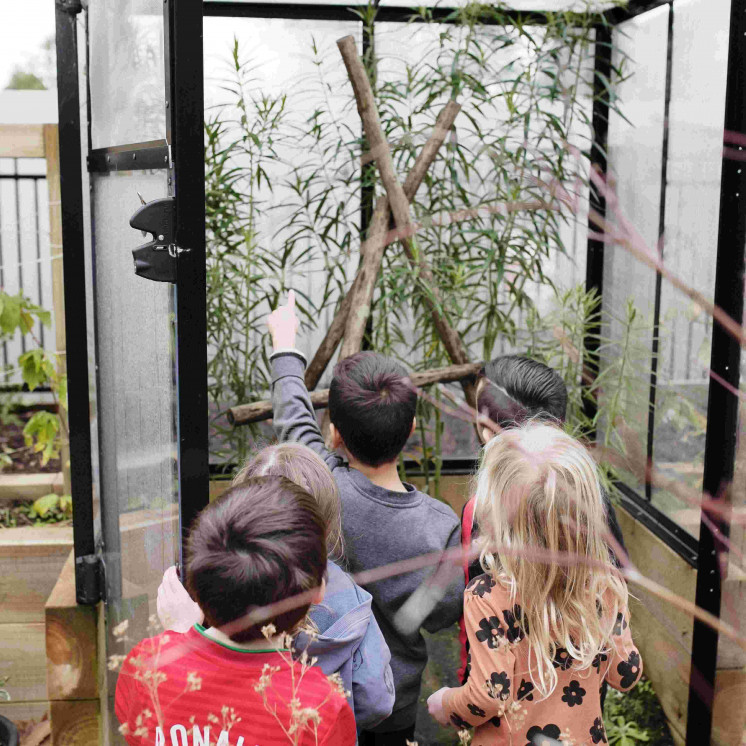 Nurturing nature at House of wonder cambridge 