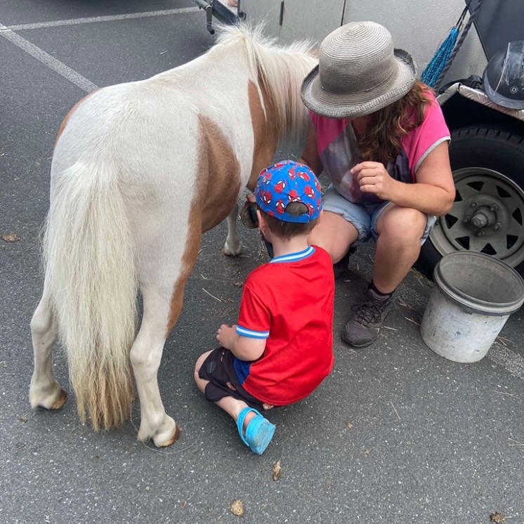 House of Wonder Cambridge childcare playing and looking after horse